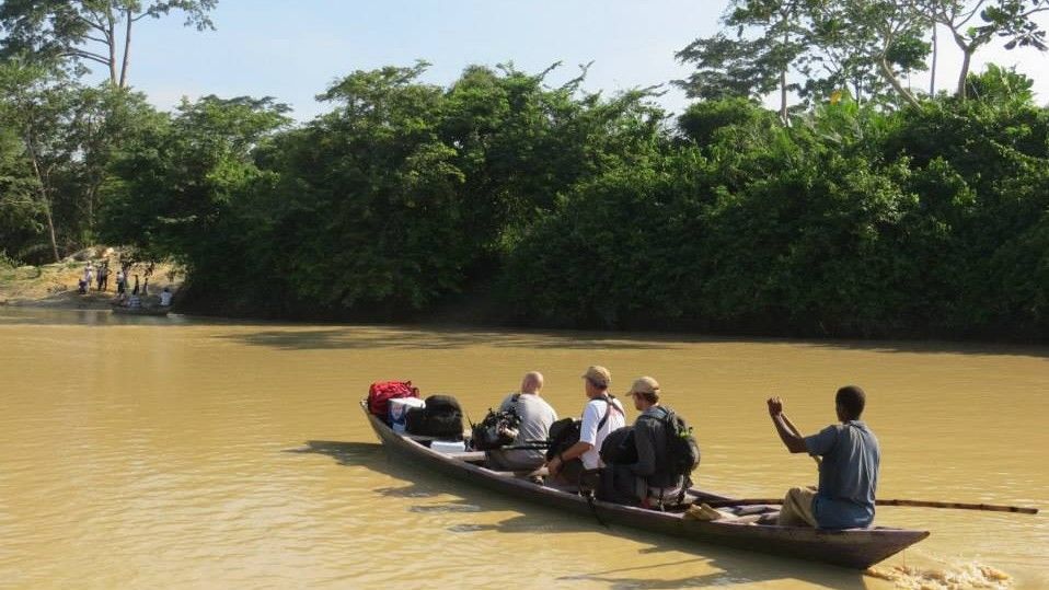 discovery-jungle-gold-ghana